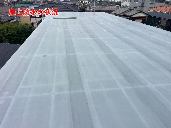 屋上防水の全体状況