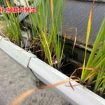 雨樋