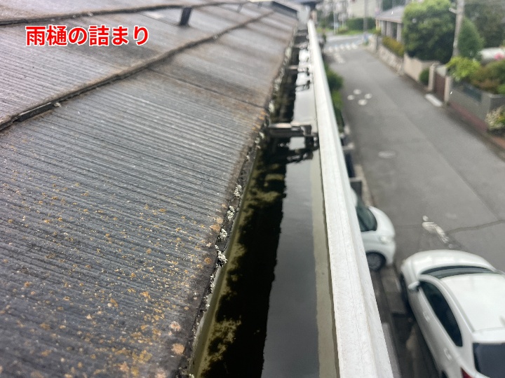 雨樋内部の滞留水