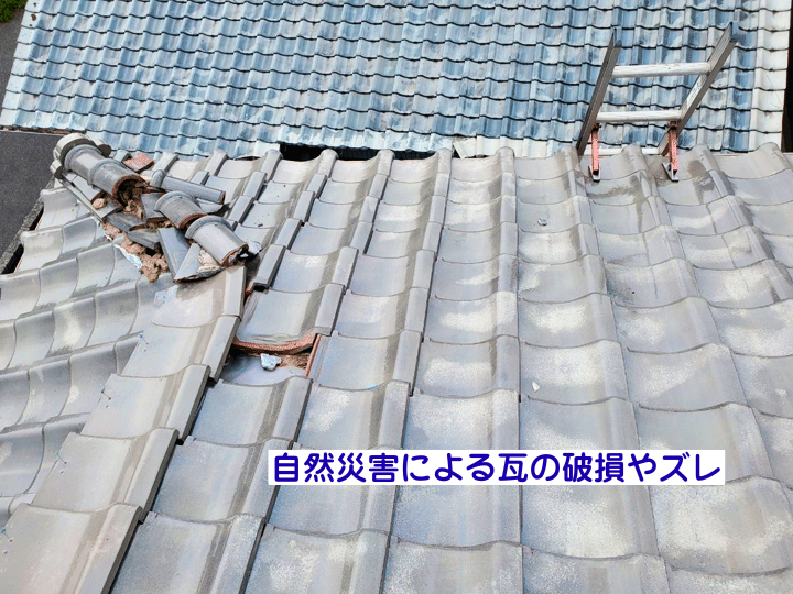 自然災害による瓦の破損やズレ