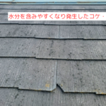 水分を含みやすくなり発生した緑色のコケ　色あせや苔は劣化の初期サイン