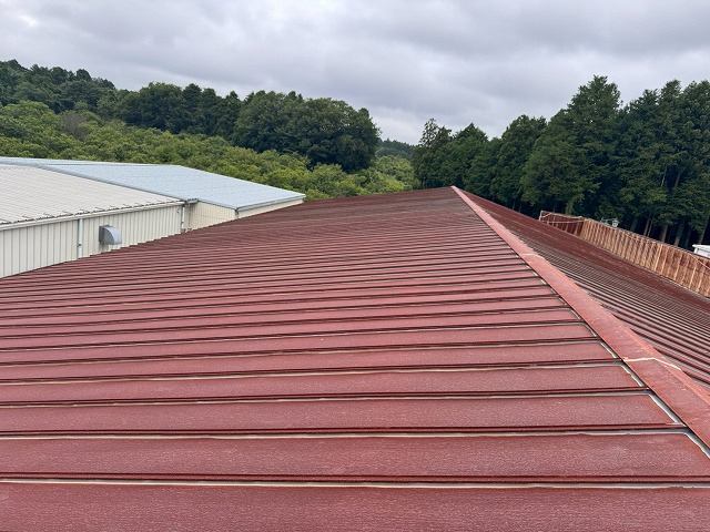瓦棒葺き屋根にサビが広がっている塗装工事前の工場屋根
