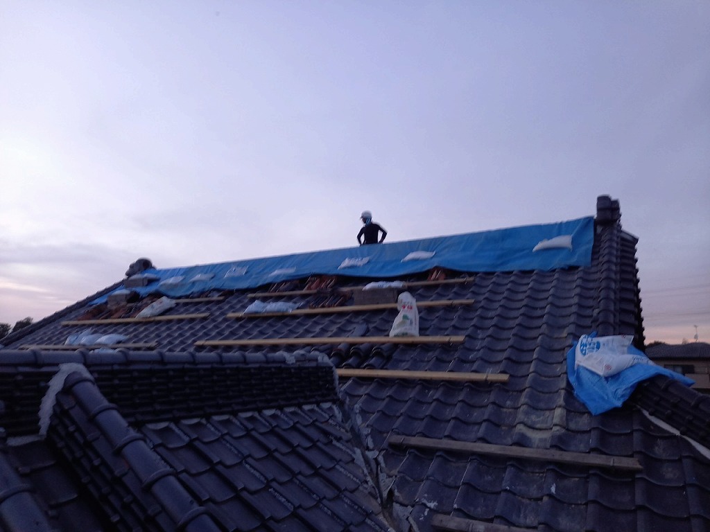 大棟のブルーシート養生