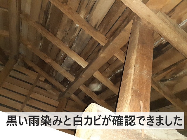 雨漏り調査