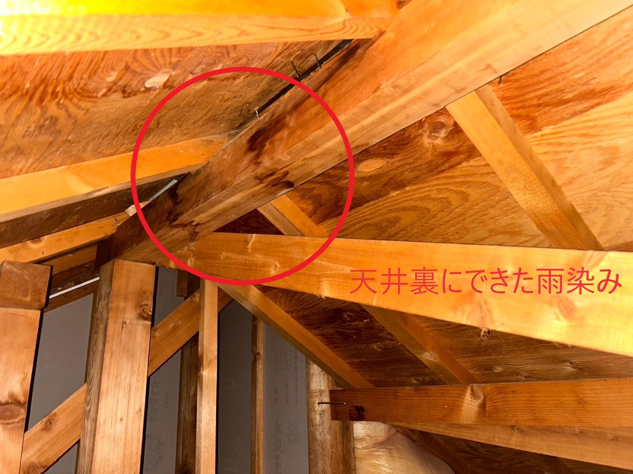 天井裏の雨染み