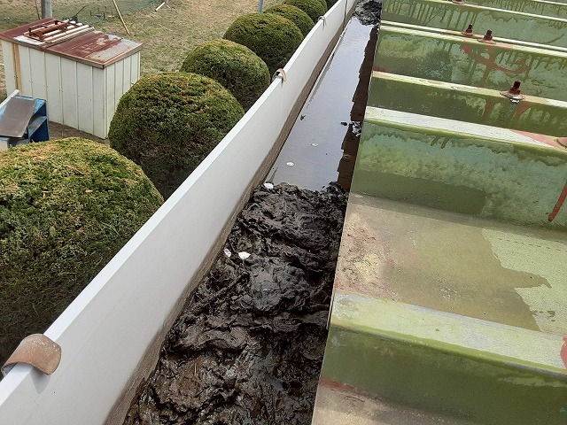 工場建物の雨樋メンテナンスを行う前の状況