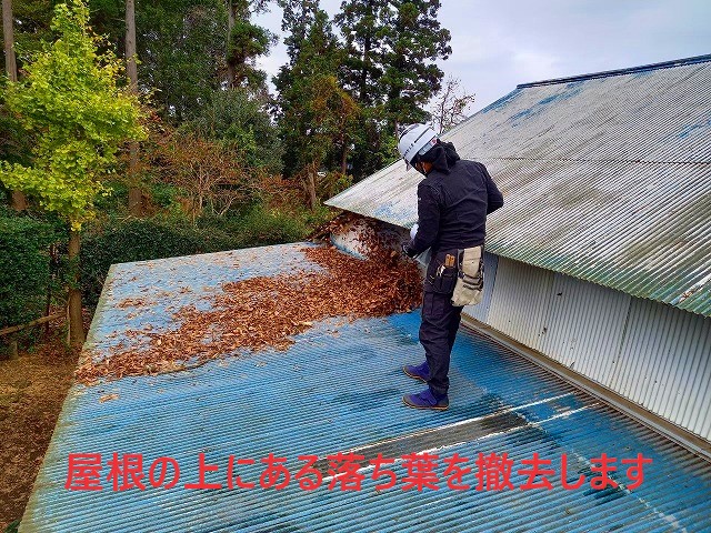 屋根カバー前の落ち葉撤去