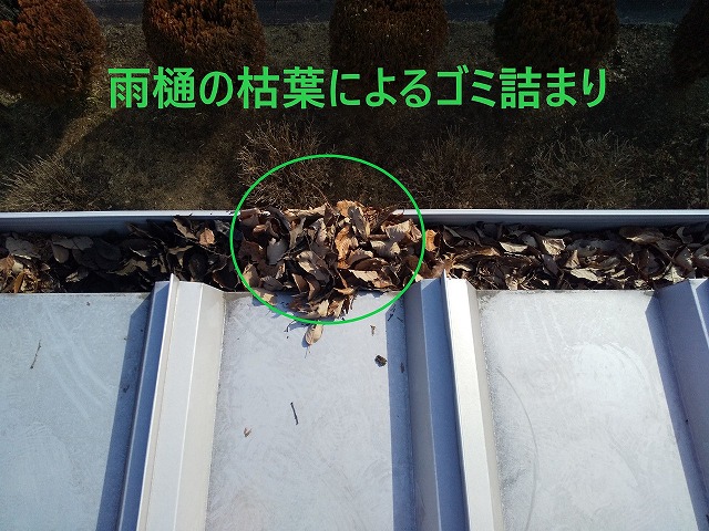 雨樋 枯葉の詰まり 工場金属屋根塗装