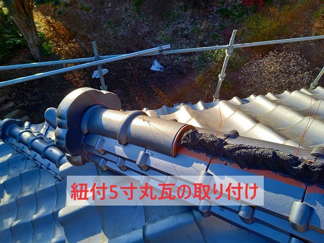 紐付5寸丸瓦