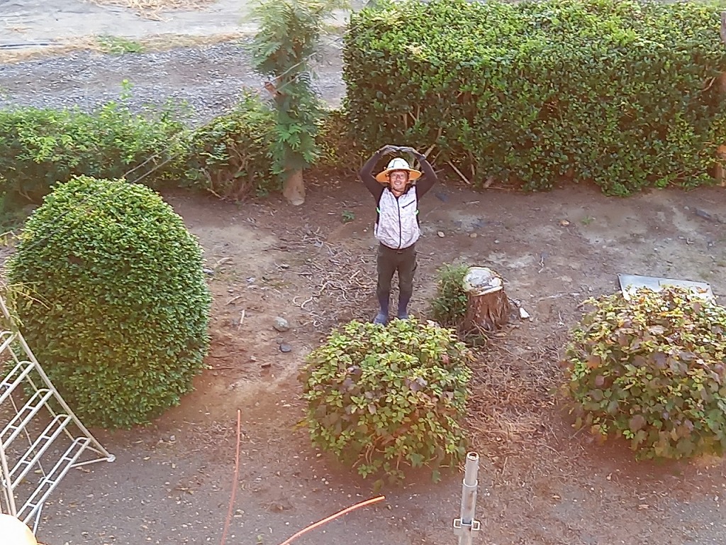 ミノコ棟の地上からの確認