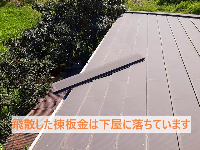 下屋に落ちていた棟板金