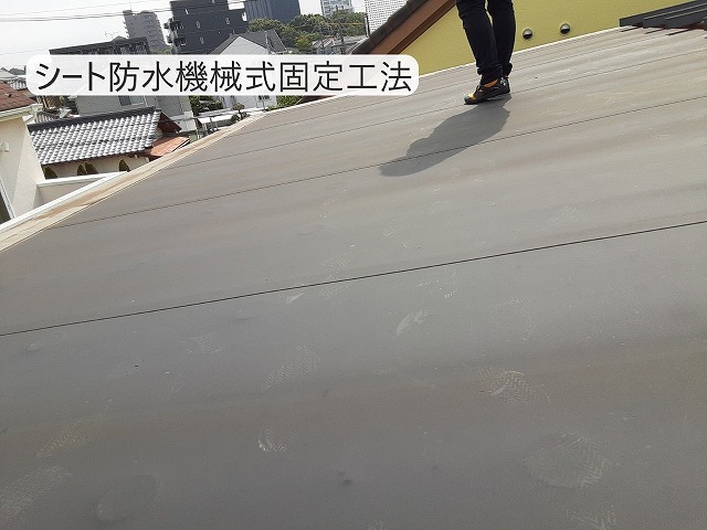 シート防水機械式固定工法