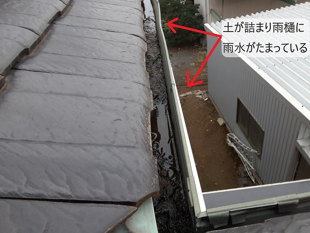 雨樋の詰まり