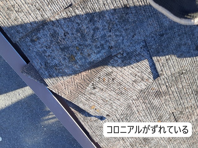 コロニアルずれ