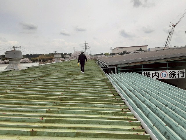 工場建物の雨樋の劣化状況を調査している様子