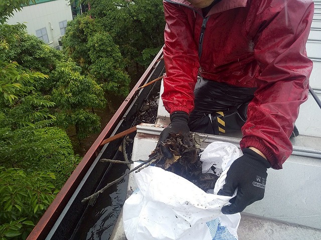 工場建物の雨樋にたまった落ち葉や土砂を除去している様子