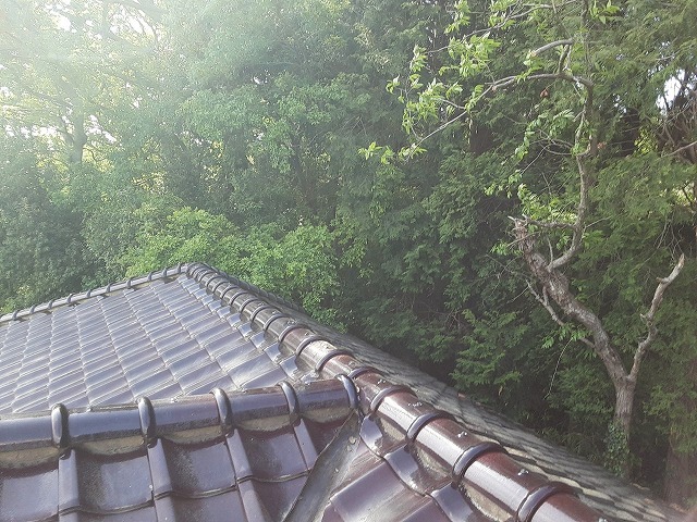 現場調査を行っている店舗建物の屋根の釉薬瓦