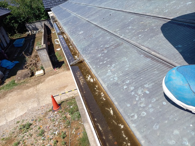 雨樋の中に水が溜まっている