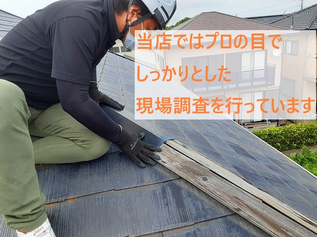 プロ目線の現場調査