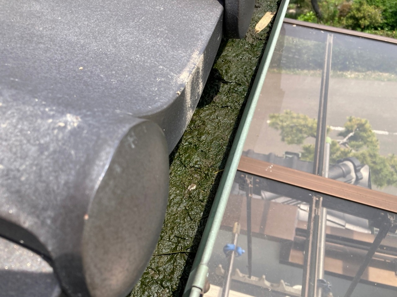 雨樋のゴミ拡大図