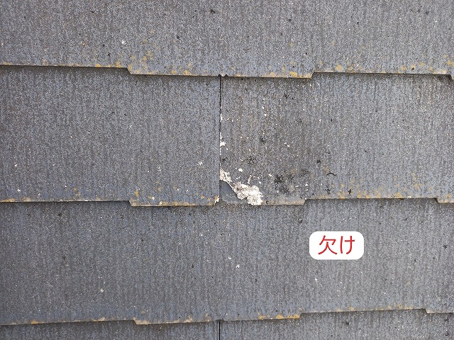 コロニアルの欠け