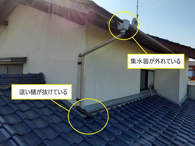 縦樋の破損　集水器の破損