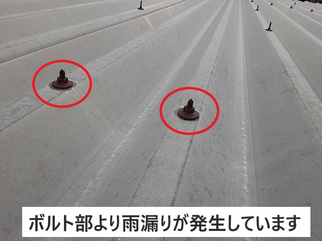 ボルト部より雨漏り発生していました