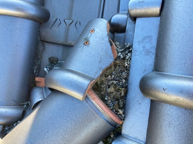 屋根しっくい剥がれ