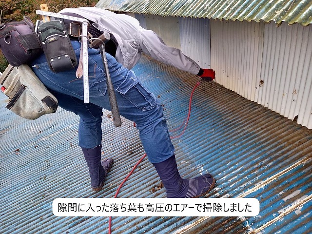 落ち葉の掃除　高圧エアー