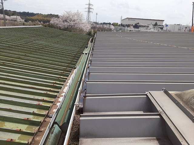 大規模な工場建物の折板屋根に設置されている大型の雨樋