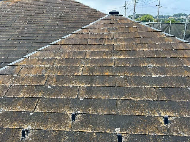 アパートのカラーベスト屋根に苔の繫殖などの劣化を確認