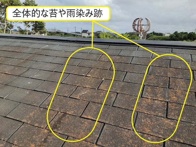 シングル屋根 苔 雨染み