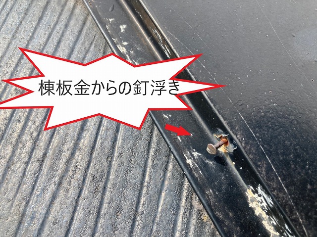 棟板金　釘浮き