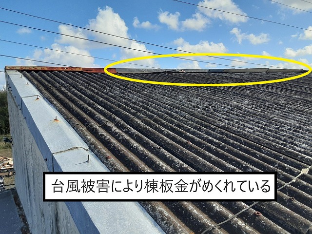 棟板金　台風被害