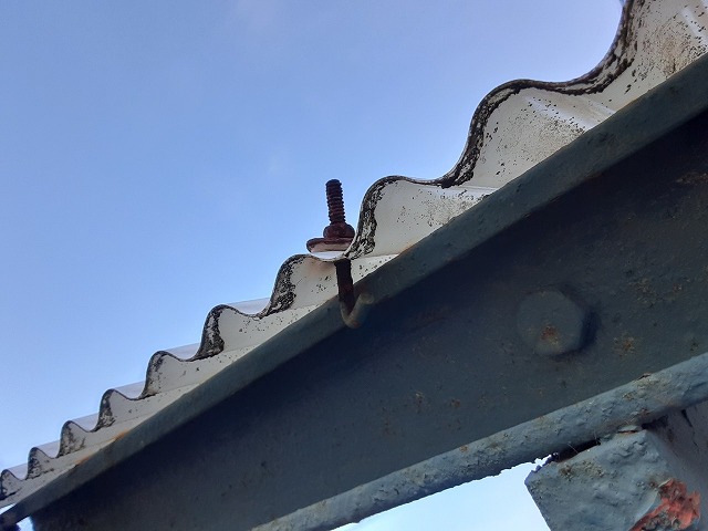 物置建物の外部階段の波板屋根にフックボルトの外れを確認