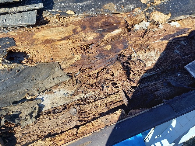 シャッターゲート屋根葺き替え工事のルーフィング劣化状況