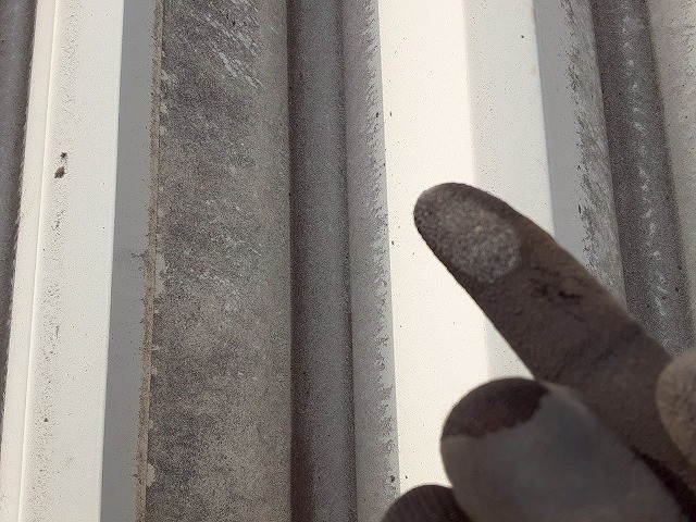 築10年の平屋住宅で折板屋根のチョーキング現象を確認