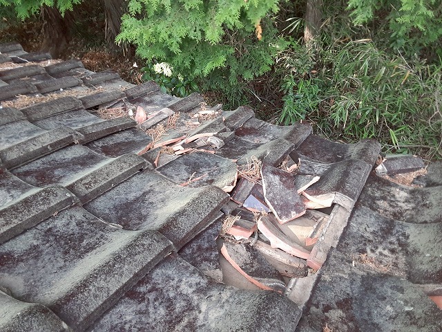 倒木の影響で破損した店舗建物の瓦屋根