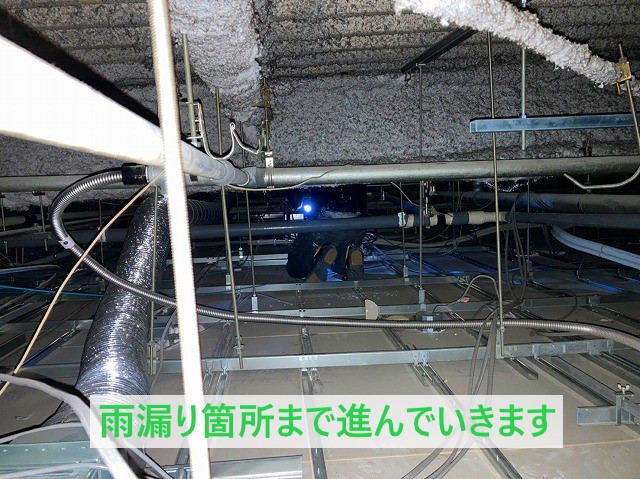 天井裏を進んでいきます