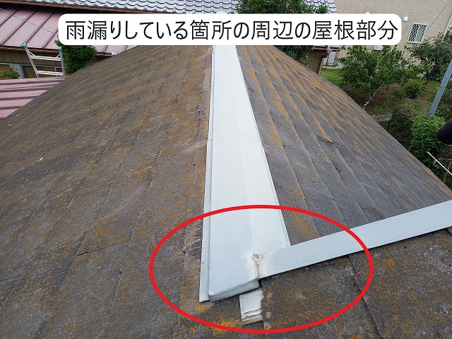 雨漏りしている箇所の周辺の屋根