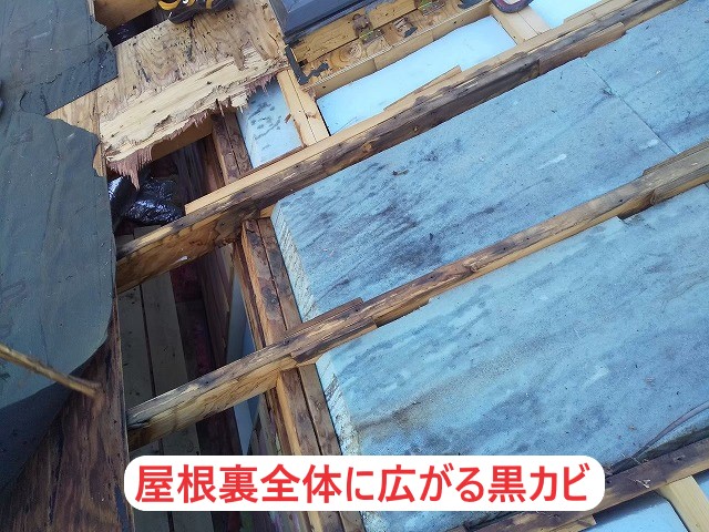 解体を進めていくと屋根裏全体に広がる黒ずみ