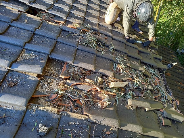 倒木によって屋根瓦の上に枝葉が散乱している状況