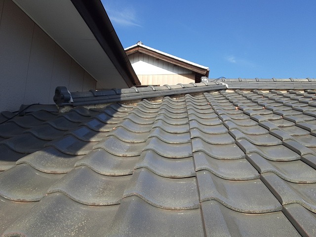 母家建物の屋根漆喰に変色を確認した現場調査