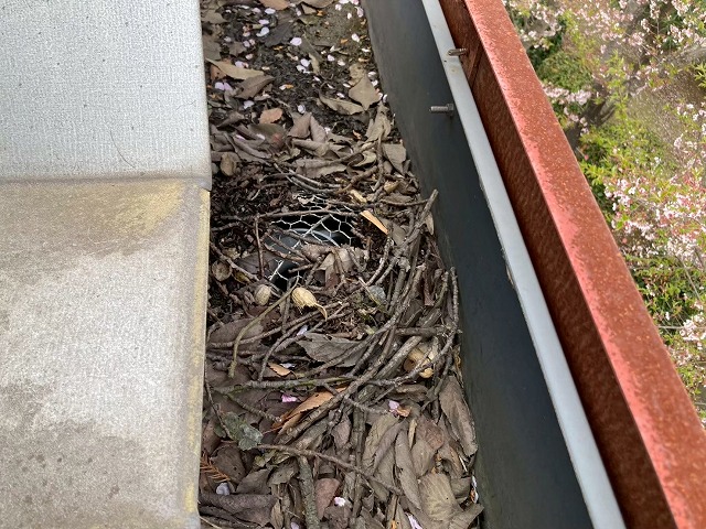 工場建物の雨樋にたまっている落ち葉や土砂