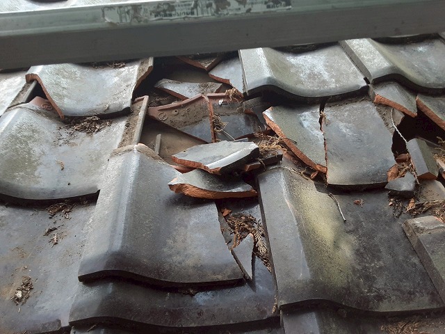 強風による倒木の影響で割れた瓦屋根