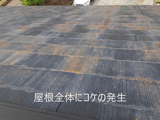屋根全体にコケの発生
