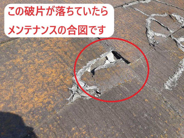 コロニアルの破片