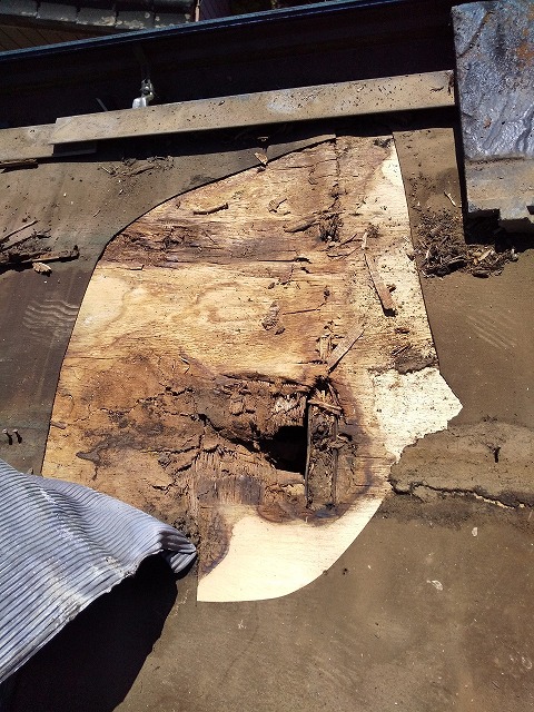 雨漏り原因 トップライト