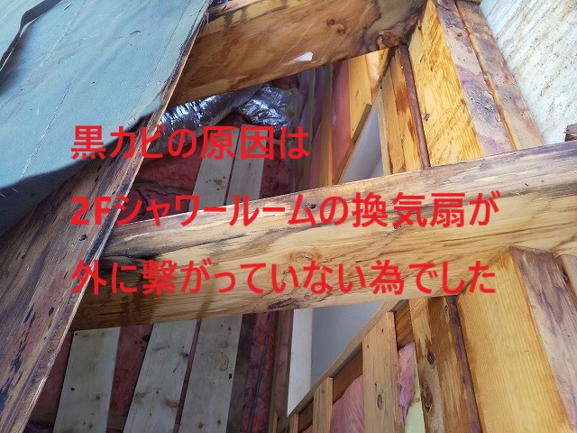 黒カビの原因が判明しました