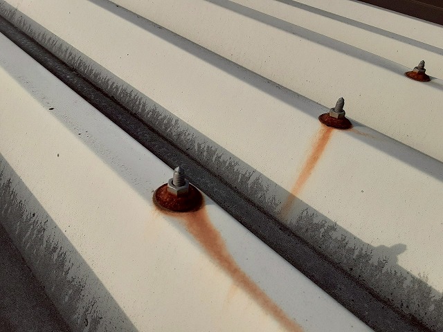 築10年の平屋住宅で折板屋根のボルトのサビを確認